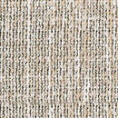 Beachcroft Outdoor Chaise Lounge with Cushion - Furniture Now (CA)