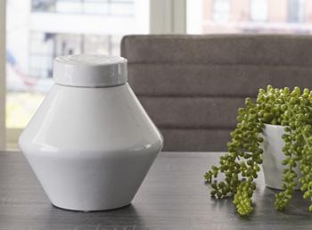 Domina Jar (Set of 2) - Furniture Now (CA)