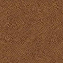 Carianna Sofa - Furniture Now (CA)