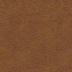 Carianna Sofa Sleeper - Furniture Now (CA)