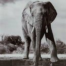 Glinyard Wall Art - Furniture Now (CA)