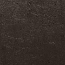 Kimonte Dining Chair - Furniture Now (CA)