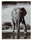 Glinyard Wall Art - Furniture Now (CA)