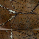 Emsleyfield Candle Holder Set (Set of 2) - Furniture Now (CA)