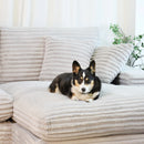 Christy 2 Piece Sectional - Furniture Now (CA)