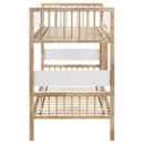Dakota Bunk Beds - Furniture Now (CA)