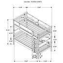 Dakota Bunk Beds - Furniture Now (CA)