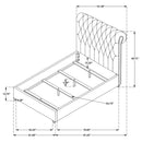 Devon Queen Beds - Furniture Now (CA)