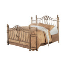 Sydney Eastern King & Queen Bed Antique Brushed Gold - Furniture Now (CA)