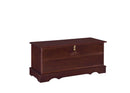 Paula Rectangular Cedar Chest Warm Brown - Furniture Now (CA)