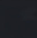 Haidera 4-panel Damask Pattern Folding Screen Black - Furniture Now (CA)