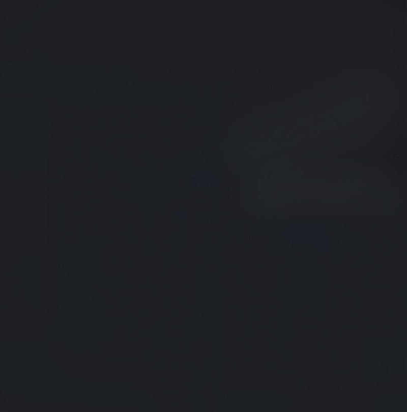 Haidera 4-panel Damask Pattern Folding Screen Black - Furniture Now (CA)