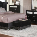 Barzini Tufted Rectangular Trunk with Nailhead Black - Furniture Now (CA)
