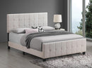 Fairfield Eastern King & Queen Upholstered Panel Bed Beige & Grey - Furniture Now (CA)