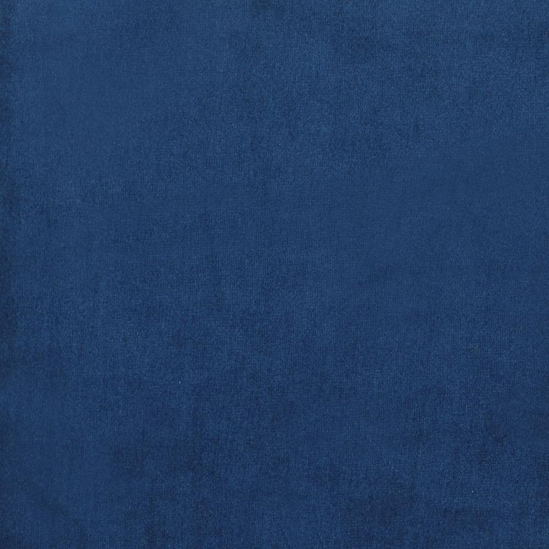 Sophia Upholstered Vertical Channel Tufted Chair Blue - Furniture Now (CA)