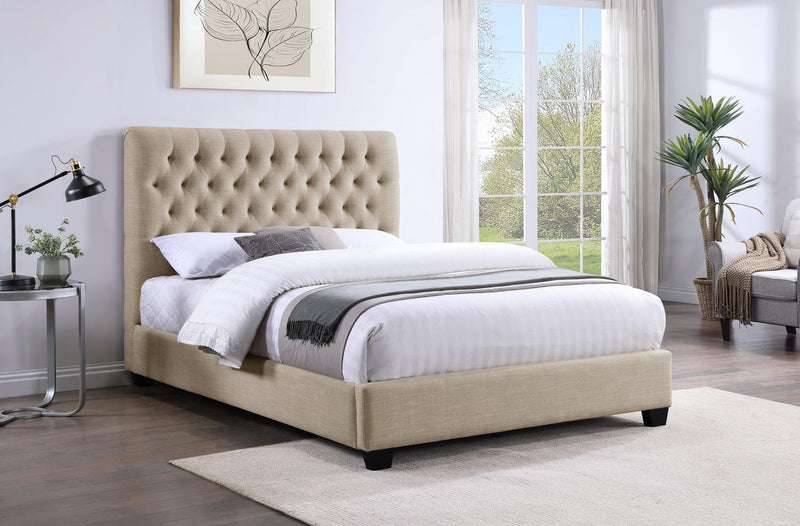 Chloe Queen Beds - Furniture Now (CA)