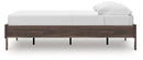 Calverson Youth Bed - Furniture Now (CA)