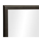 Hodgin Mirror - Furniture Now (CA)