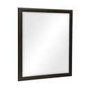Hodgin Mirror - Furniture Now (CA)