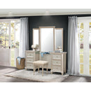 Celandine Vanity Dresser with Mirror in Silver 1928-15 - Furniture Now (CA)