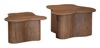 Abeford Accent Coffee Table (Set of 2) - Furniture Now (CA)