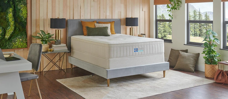 Sealy Naturals Latex Hybrid PL/FM - Furniture Now (CA)