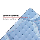 Sonterra Spring Mattress