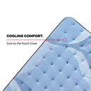 Sonterra Spring Mattress