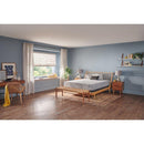 Palace Park Foam Mattress