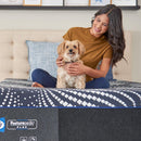 High Point Foam Mattress