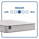 Spring Bloom Innerspring Mattress