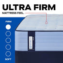 Glenshaw Spring Mattress