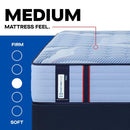 Sonterra Spring Mattress