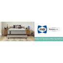 Dantley Innerspring Mattress
