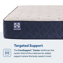 Desert Rose Spring Mattress