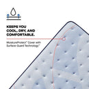 Plainfield Spring Mattress