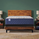 Moreland Ave Spring Mattress