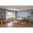 Sealy Erie Foam Mattress