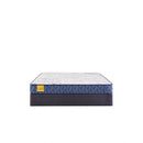 Sealy Erie Foam Mattress
