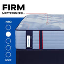 Sealy Dupont II Spring Mattress