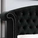 Zohar Bed