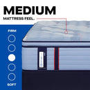 Sealy Dupont II Spring Mattress