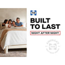 Lansdale Spring Mattress