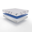 Sealy Stately Foam Mattress