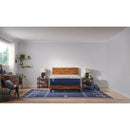 Sealy Midnight Cove Hybrid Mattress