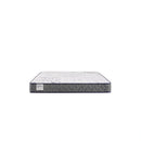 Sealy Paisley Foam Mattress