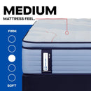 Sealy Paterson II Spring Mattress