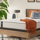 Summer Rose Innerspring Mattress