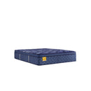 Sealy Remmington Innerspring Mattress